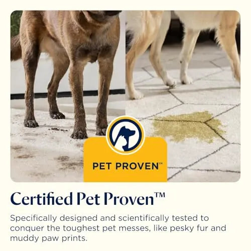 BISSELL SpotClean Pet Portable Carpet Stain Cleaner