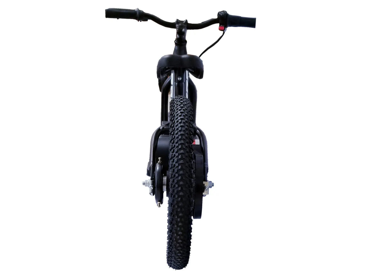 BROCUSA 16-inch Balance E-Bike-Black | Free Shippin