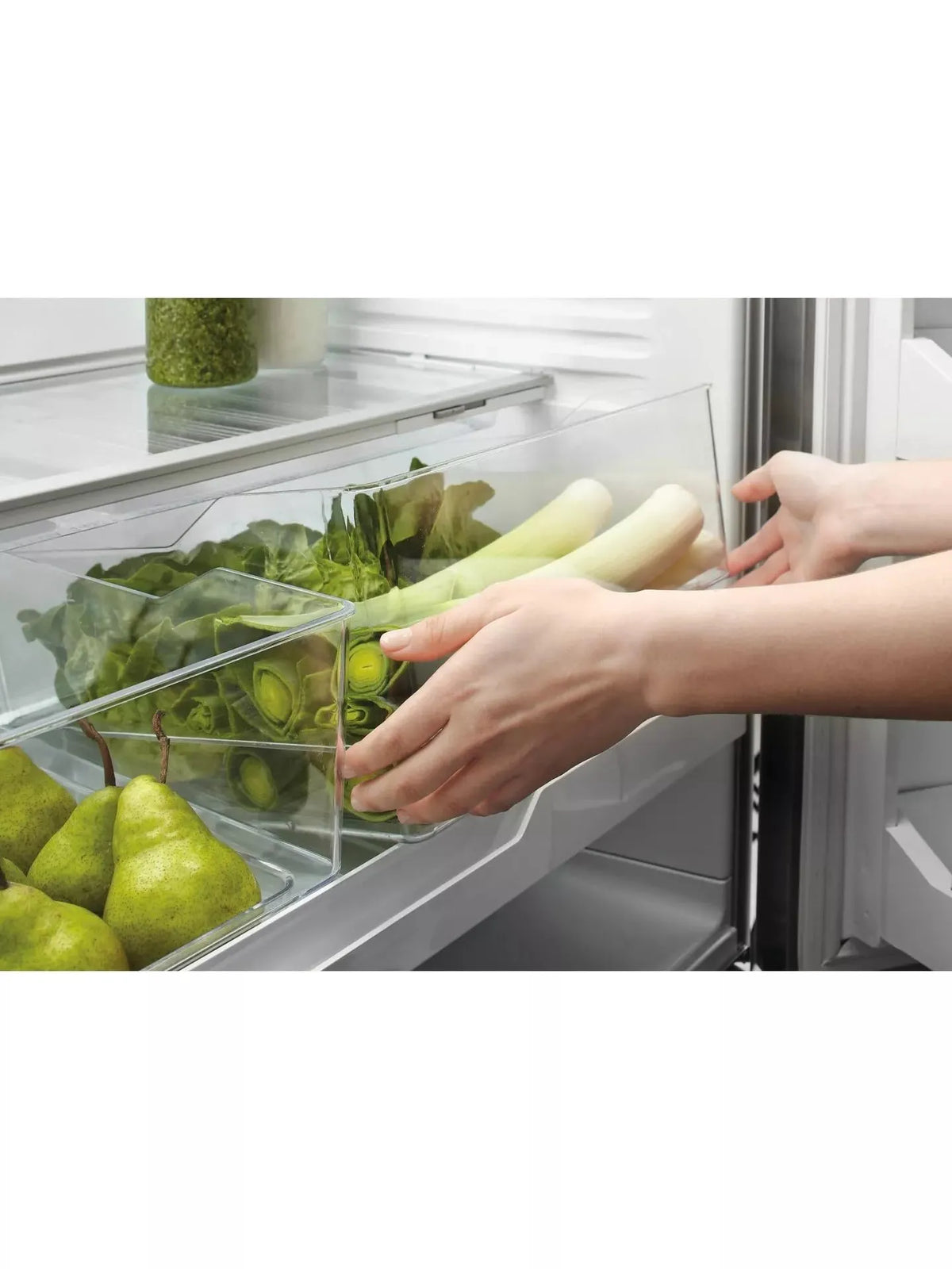Fisher & Paykel French Door Fridge Freezer 569L No Frost Stainless Steel