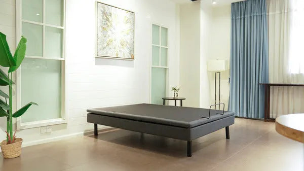 Ergomotion Ascend High-Low Adjustable Bed with Tilt