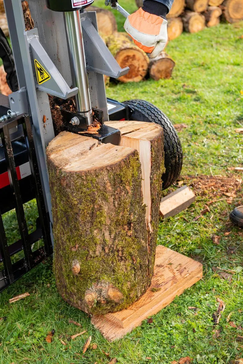Oregon® 25-Ton 208cc Briggs & Stratton Horizontal / Vertical Log Splitter (OR25TBS-1)